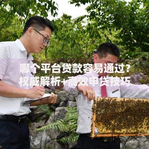 哪个平台贷款容易通过？权威解析+高效申贷技巧