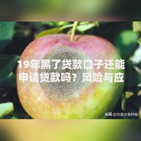 19年黑了贷款口子还能申请贷款吗？风险与应对策略
