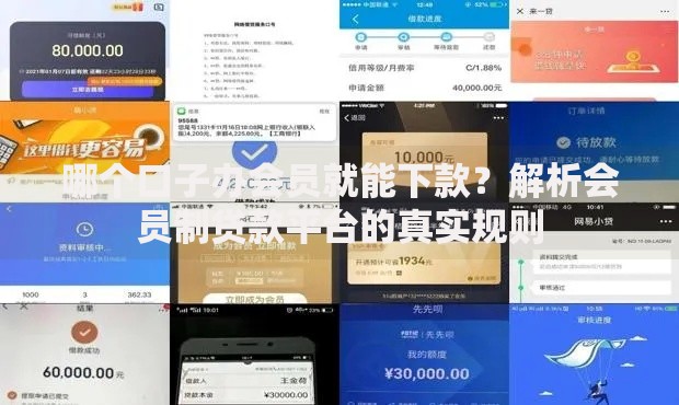 哪个口子办会员就能下款？解析会员制贷款平台的真实规则