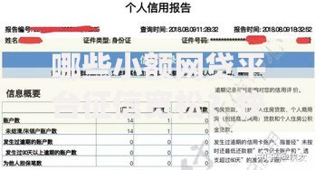 哪些小额网贷平台征信宽松？快速申请攻略
