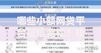 哪些小额网贷平台征信宽松？快速申请攻略