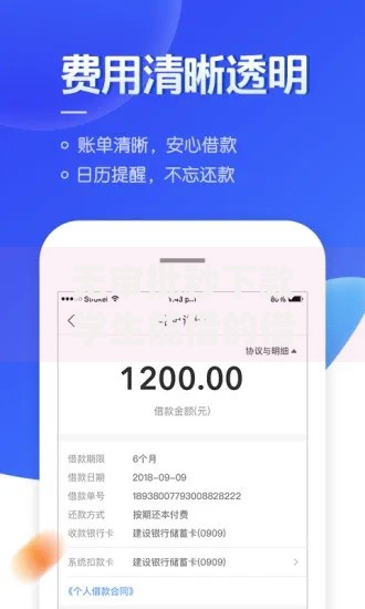 无审批秒下款学生能借的借贷平台如何安全使用？