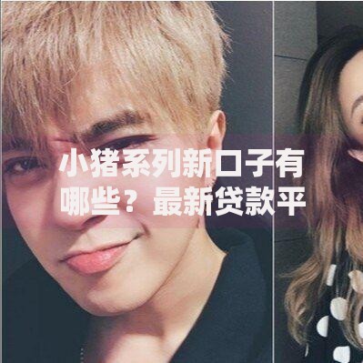 小猪系列新口子有哪些？最新贷款平台深度解析