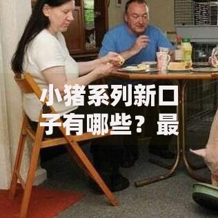 小猪系列新口子有哪些？最新贷款平台深度解析