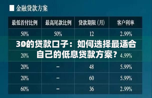 30的贷款口子：如何选择最适合自己的低息贷款方案？