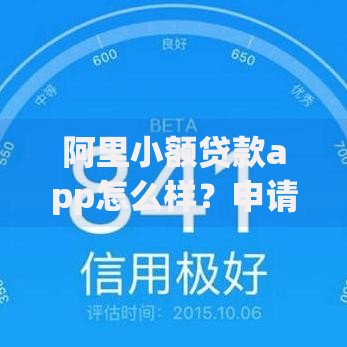 阿里小额贷款app怎么样？申请流程、额度利息全解析