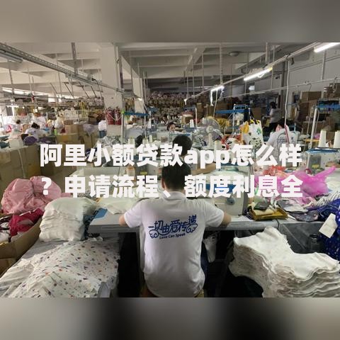 阿里小额贷款app怎么样？申请流程、额度利息全解析