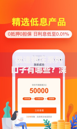 极速钱庄系列口子有哪些？深度解析正规渠道与申请技巧