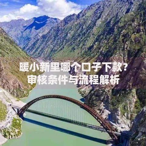 暖小新里哪个口子下款？审核条件与流程解析
