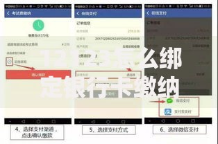 12123怎么绑定银行卡缴纳罚款？手把手教你轻松搞定缴费流程