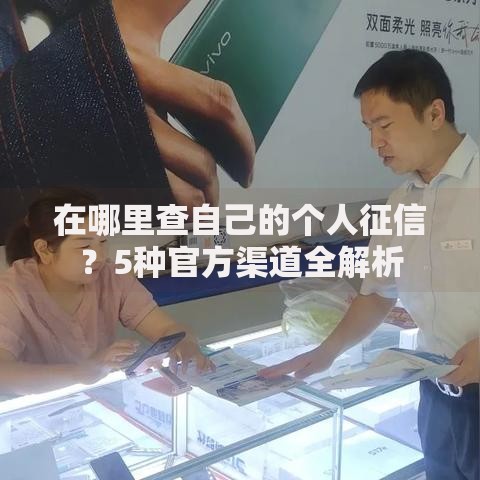 在哪里查自己的个人征信？5种官方渠道全解析