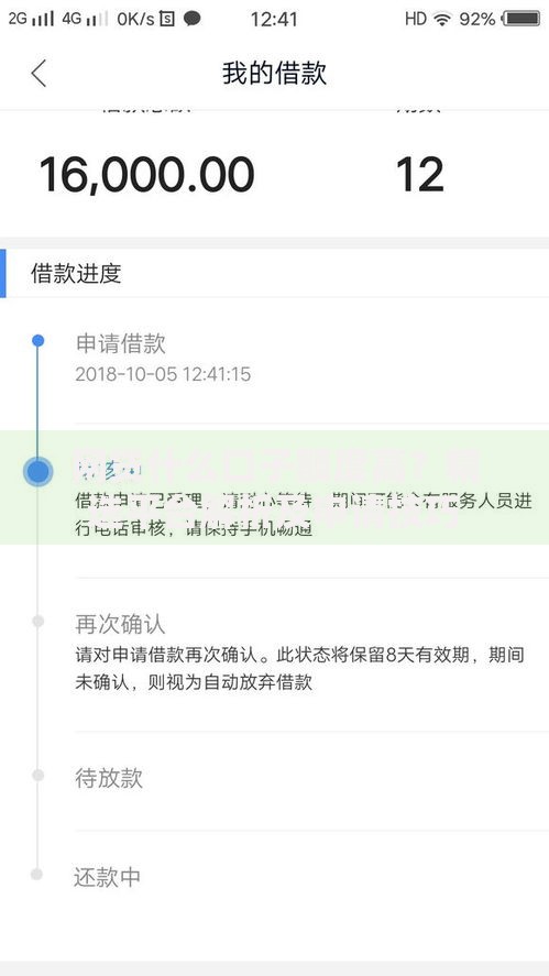 网贷什么口子额度高？精选平台解析及申请技巧