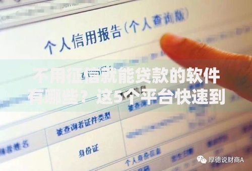 不用征信就能贷款的软件有哪些？这5个平台快速到账