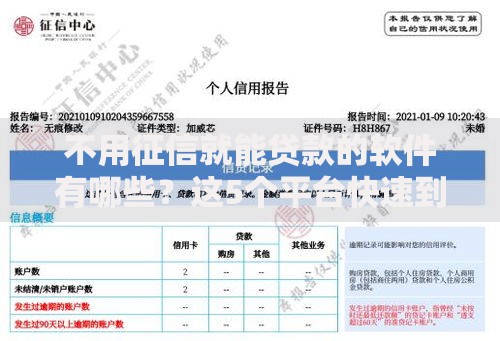 不用征信就能贷款的软件有哪些？这5个平台快速到账