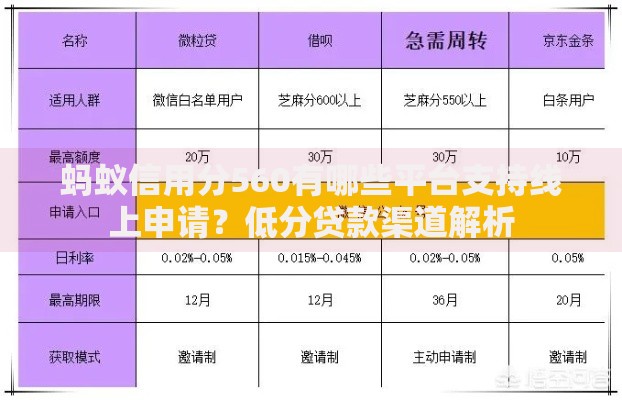 蚂蚁信用分560有哪些平台支持线上申请？低分贷款渠道解析