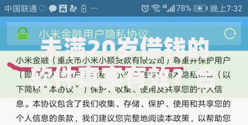 未满20岁借钱的软件真实有效？合法途径与风险深度解析