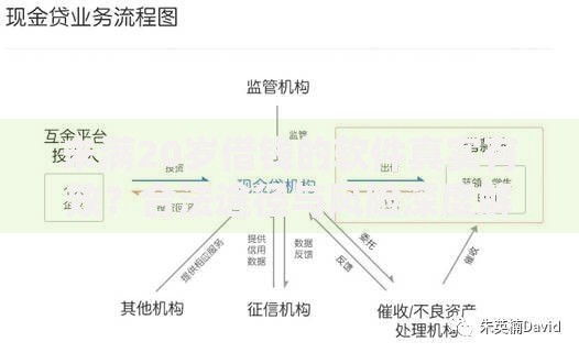未满20岁借钱的软件真实有效？合法途径与风险深度解析