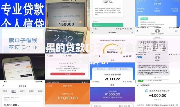 无视网黑的贷款口子：安全借贷渠道全解析