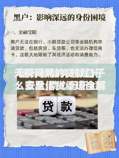 无视网黑的贷款口子：安全借贷渠道全解析