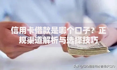 信用卡借款是哪个口子？正规渠道解析与选择技巧