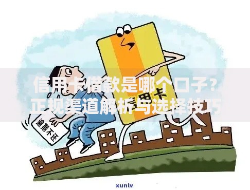 信用卡借款是哪个口子？正规渠道解析与选择技巧