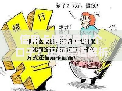 信用卡借款是哪个口子？正规渠道解析与选择技巧