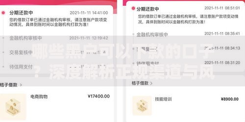 哪些黑户可以下款的口子？深度解析正规渠道与风险提示