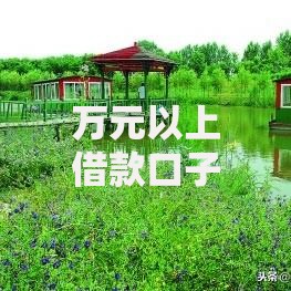 万元以上借款口子：高额度贷款渠道详解及申请攻略