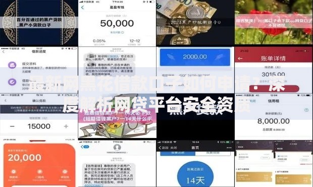 最新网黑花借款口子如何申请？深度解析网贷平台安全资质