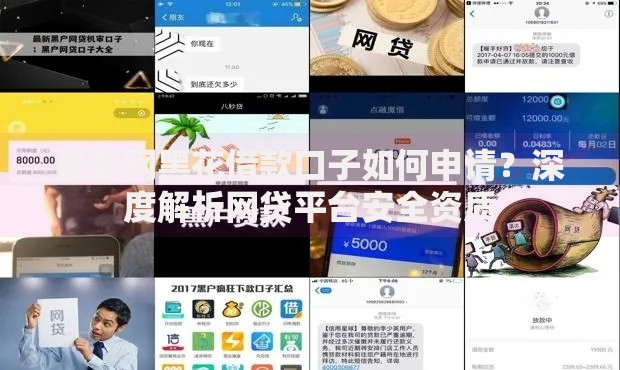 最新网黑花借款口子如何申请？深度解析网贷平台安全资质