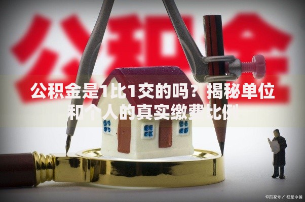 公积金是1比1交的吗？揭秘单位和个人的真实缴费比例