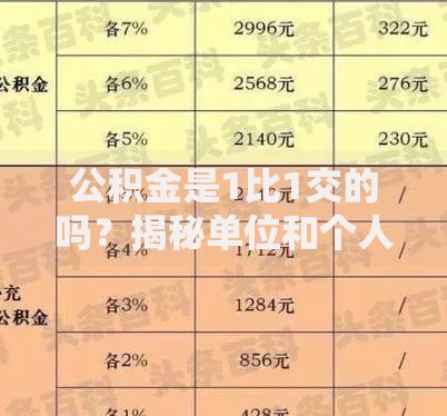 公积金是1比1交的吗？揭秘单位和个人的真实缴费比例