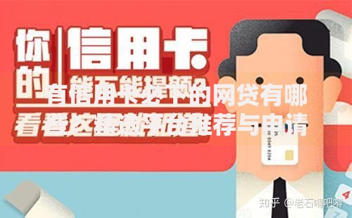 有信用卡必下的网贷有哪些？精选平台推荐与申请攻略