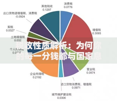 税收性质解析：为何你的每一分钱都与国家息息相关