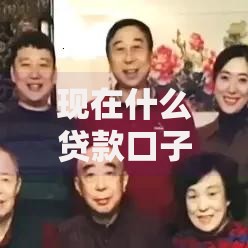 现在什么贷款口子能下款？哪些平台审核快额度高