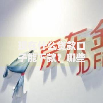 现在什么贷款口子能下款？哪些平台审核快额度高