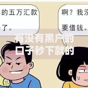 有没有黑户的口子秒下款的吗？真实情况深度解析