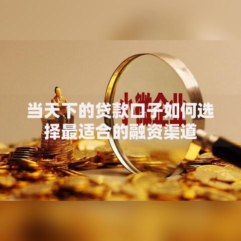 当天下的贷款口子如何选择最适合的融资渠道