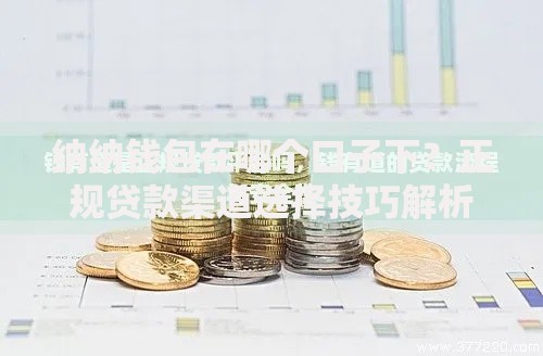 纳纳钱包在哪个口子下？正规贷款渠道选择技巧解析