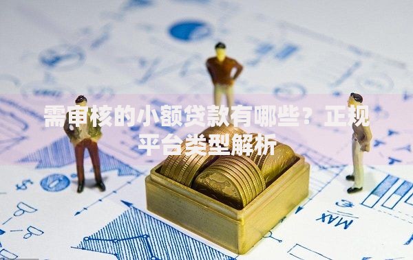 需审核的小额贷款有哪些？正规平台类型解析