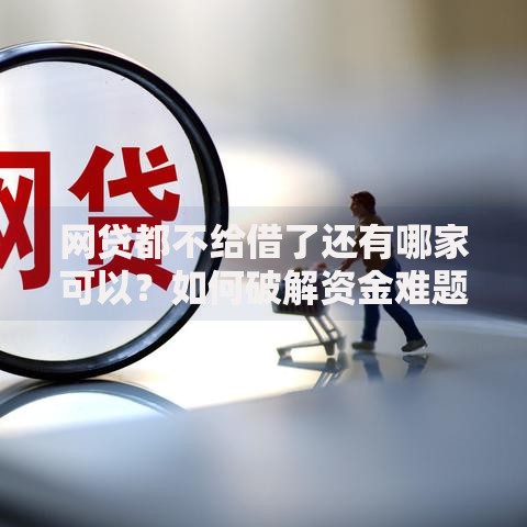 网贷都不给借了还有哪家可以？如何破解资金难题