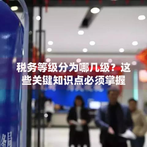 税务等级分为哪几级？这些关键知识点必须掌握