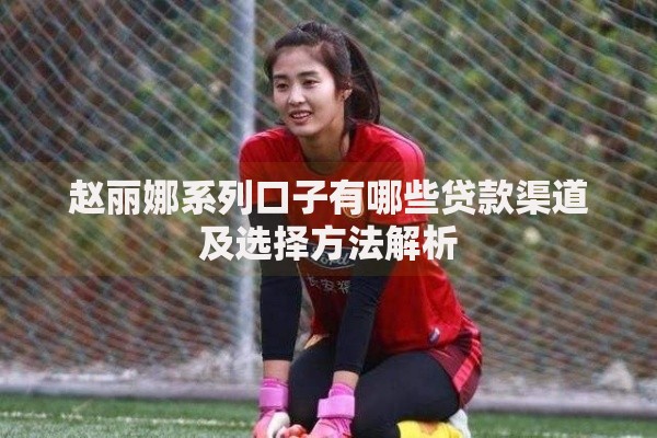 赵丽娜系列口子有哪些贷款渠道及选择方法解析