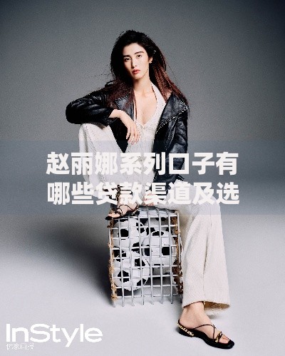 赵丽娜系列口子有哪些贷款渠道及选择方法解析