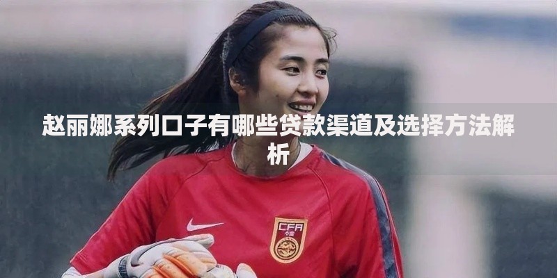 赵丽娜系列口子有哪些贷款渠道及选择方法解析