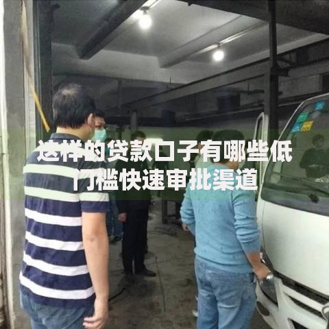 这样的贷款口子有哪些低门槛快速审批渠道