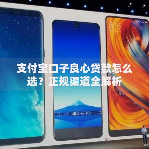支付宝口子良心贷款怎么选？正规渠道全解析