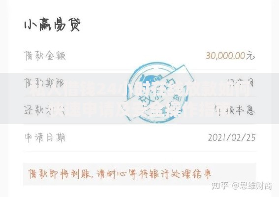 私人借钱24小时在线放款如何快速申请及安全操作指南