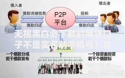 无视黑白必下款的网贷口子不是实名制手机号？真相与风险解析