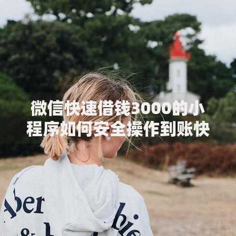 微信快速借钱3000的小程序如何安全操作到账快